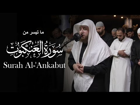 تلاوة مرئية لـ ما تيسر من سورة العنكبوت الشيخ حمزة الفار 