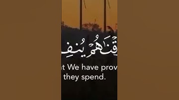 آيات بينات (تتجافى جنوبهم عن المضاجع يدعون ربهم خوفا وطمعا