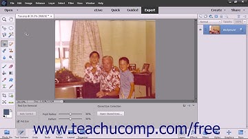 Photoshop Elements 2018 Tutorial Removing Color Adobe Training