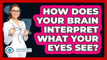 How Does Your Brain Interpret What Your Eyes See? - Optometry Knowledge Base