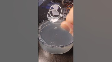 Creation of interference fringes in thin films #shorts