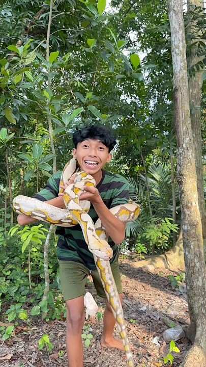 KALIAN PILIH ULAR YANG MANA?