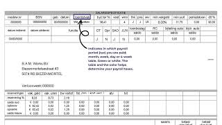 What does your payslip mean (2)?