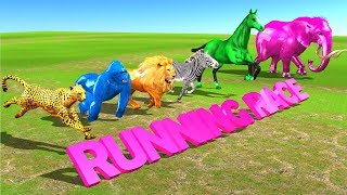 Learn Wild Animals Running Race Video For Kids - Wild Animals Names & Sounds For Children Toddlers