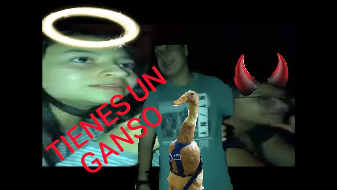 bañadores el ganso