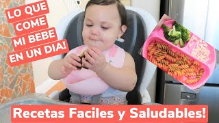 IDEAS DE COMIDAS PARA BEBES | LO QUE COME MI BEBE EN UN DIA | 10 + MESES