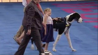 George (Great Dane)  2015 AKC Humane Fund Awards for Canine Excellence