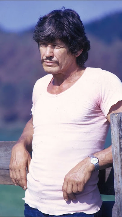 The Life and Death of Charles Bronson
