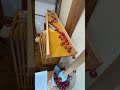 Marble Run (Marble run course using a giant slalom slope device. 1) #ASMR