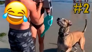 :     #2  |   