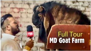 MD Goat Farm Full Tour Oct 25, 2023