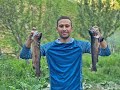 Поиск радужной форели, поход на горы. Finding a big Trout and hiking in Uzbekistan. Tog' foreli.