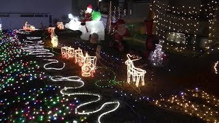 冬の街に輝く手作りのイルミネーション　土佐清水