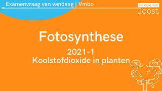 16. Examenvraag van vandaag | Vmbo | 2021-1 Koolstofdioxide in planten