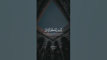 تلاوة عطرة من سورة الفجر
