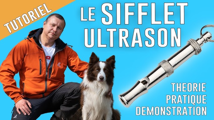 2 sifflets à ultrasons anti-gibier