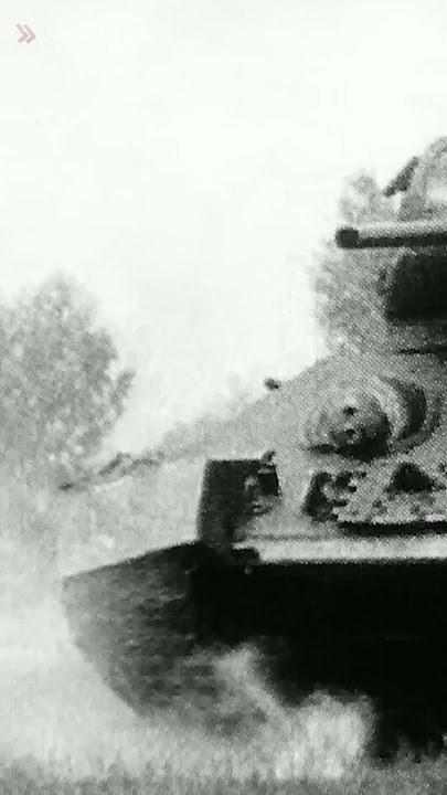 Senjata Paling Biadab Ciptaan Uni Soviet Menggunakan Seekor Anjing!