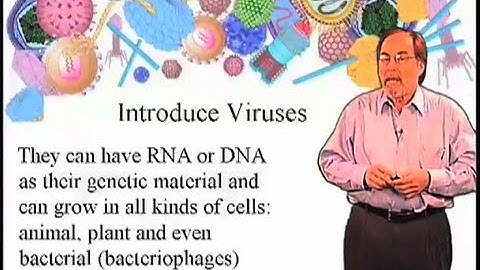 Introduction to viruses - David Baltimore (Cal Tech)