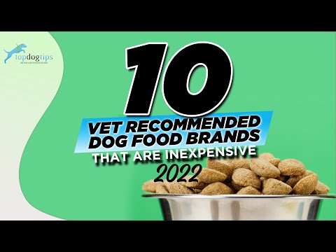 10 Vet Recommended Dog Food Brands (That are Inexpensive) (2022)