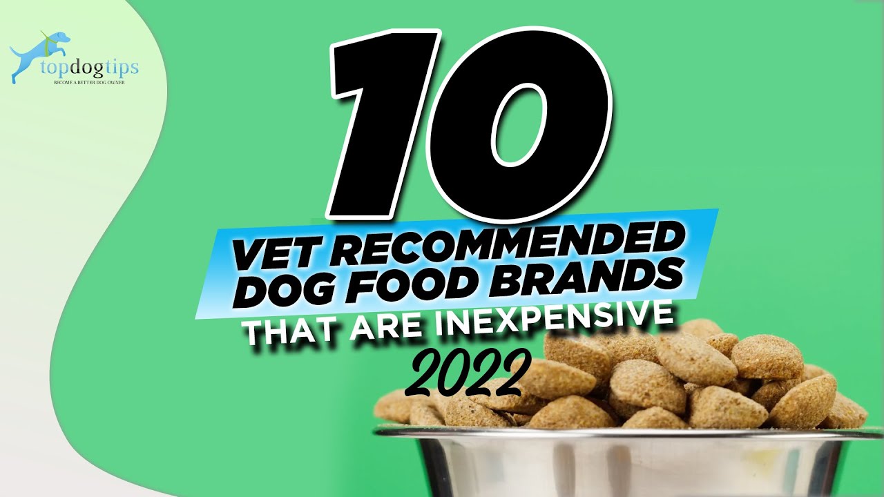 apologi Sui amplitude 10 Vet Recommended Dog Food Brands (That are Inexpensive) (2022) - YouTube