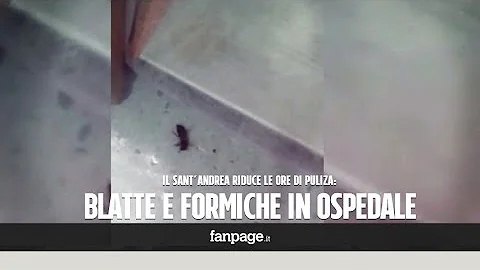 Come prenotare al Sant'andrea?