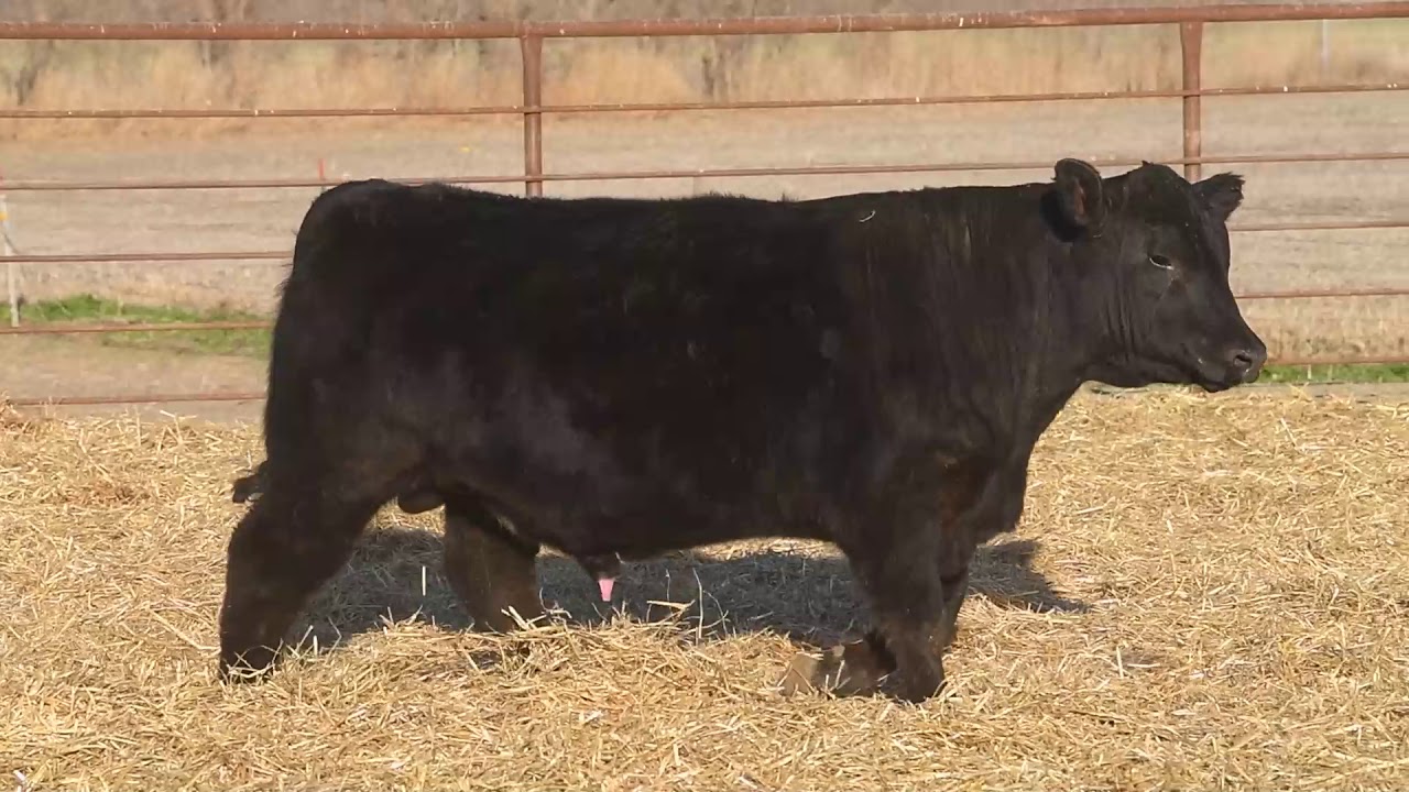 River Creek :: Lot 126 :: 034H