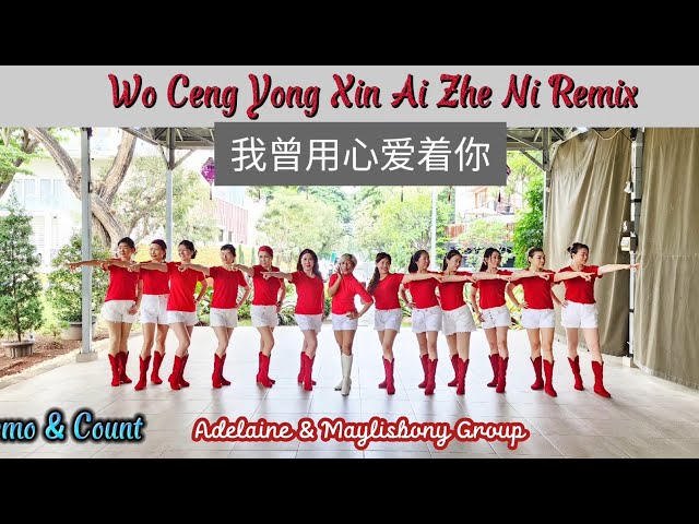 Wo Ceng Yong Xin Ai Zhe Ni Remix 我曾用心爱着你 class=