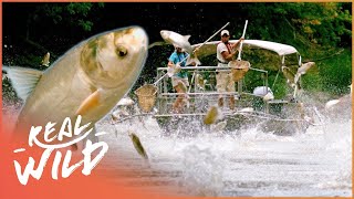 Carpe Diem: Is This The Answer To This Fishy Problem? | Real Wild Channel