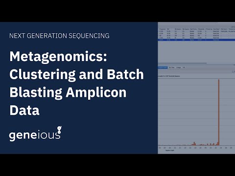 Metagenomics: Clustering and Batch Blasting Amplicon Data with Geneious Prime