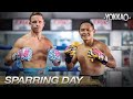 Saenchai Vs Watson Muay Thai Sparring | The GOAT Saenchai & Quadzilla back in BKK!