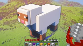 I Built Minecraft's Biggest Sheep