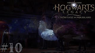 Hogwarts Legacy Lets Play - Sauvetage Des Créature Magique