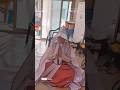 천호신궁 명패 받아들인날