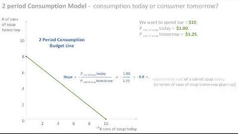 2 Period Consumption Model   intro