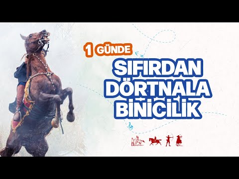 Video: At Binme Derslerine Atlı Oyunlar Eğlence ve Öğrenme İçin