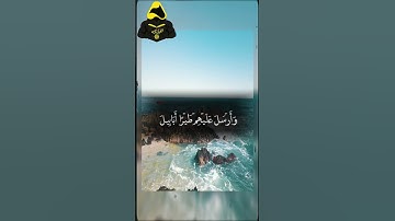 سوره الفيل    بصوت الشيخ : عبدالباسط عبدالصمد