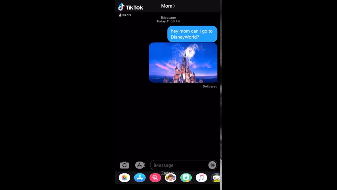Tiktok DisneyWorld Sticker Text Prank by zar.r 