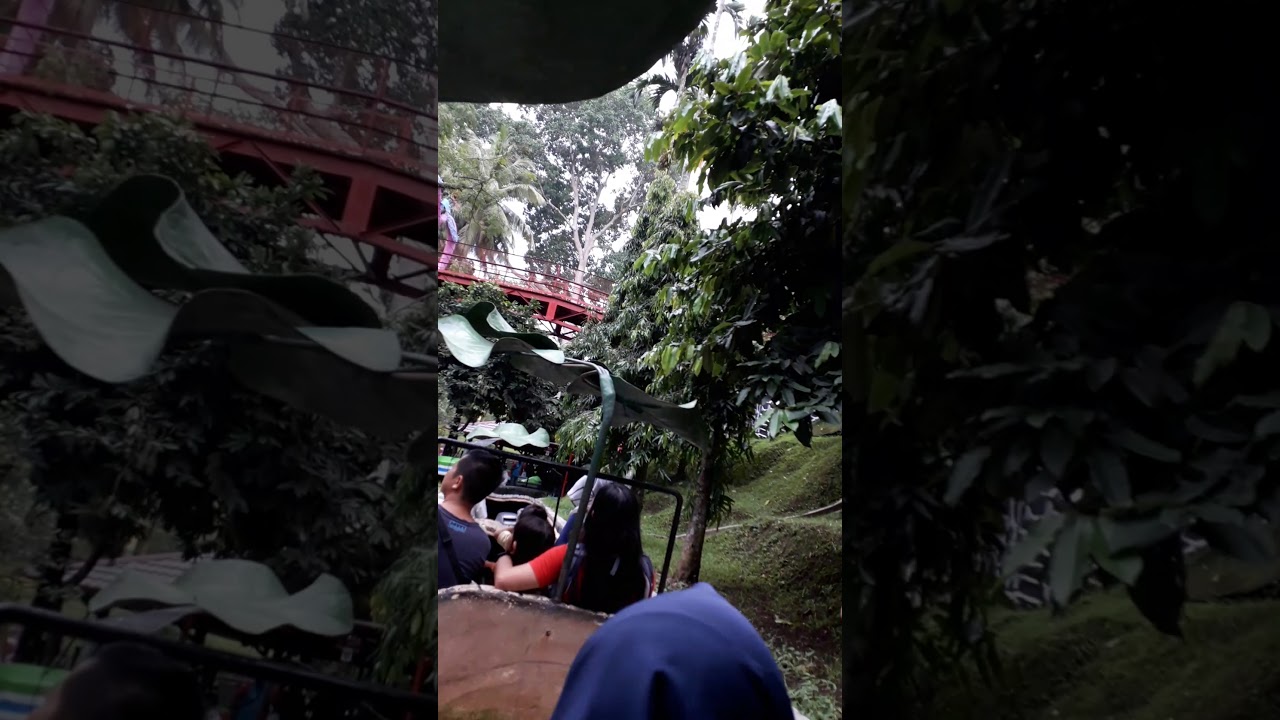 Objek Wisata Alam Taman Kyai Langgeng YouTube