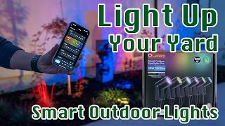 Lumary Smart Outdoor Spotlights Pro | Colorful Dancing Landscape Lights