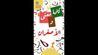 كلمة ومعنى .. ما معنى الأصغران؟