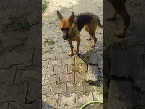 Jora Ki Baath Time Youtubeshorts Minivlog Shortsfeed Shortsviral