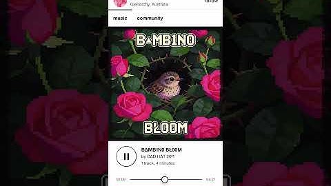 B∆MB1N0 BŁ00M by D∆D H∆T 20²1