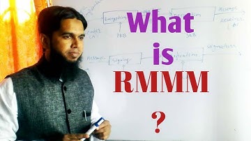 RMMM in Software engineering by prof M Ibrar