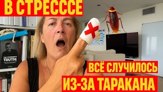 ПЕС МЕНЯ ПОКУСАЛ ! БОЮСЬ К НЕМУ ПОДХОДИТЬ.БАРДАК ПОСТОЯННО ! БОРЩ .ГОЛОВНАЯ БОЛЬ О СОБАКЕ НЕТ ОТДЫХА