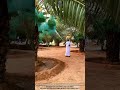 Date Palm Farming Where Water Control Protects Yield