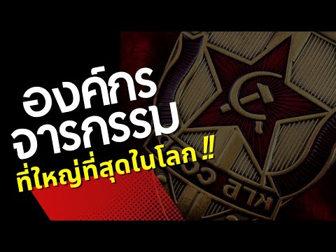 วีดีโอ: กุมารแพทย์ควรรู้อะไร ทำได้ และทำอย่างไร?