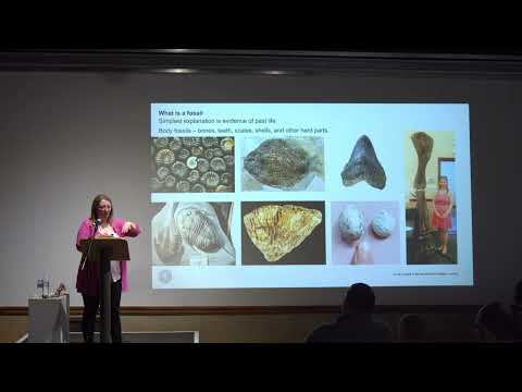 Confessions Of A Real-Life Palaeo-Barbie: Curatorial Talk By Emma Bernard