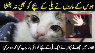 Teenage Boys Raped Cat in Lahore | Kitten Rape Case