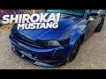 Renee's Shirokai Mustang Kit Install