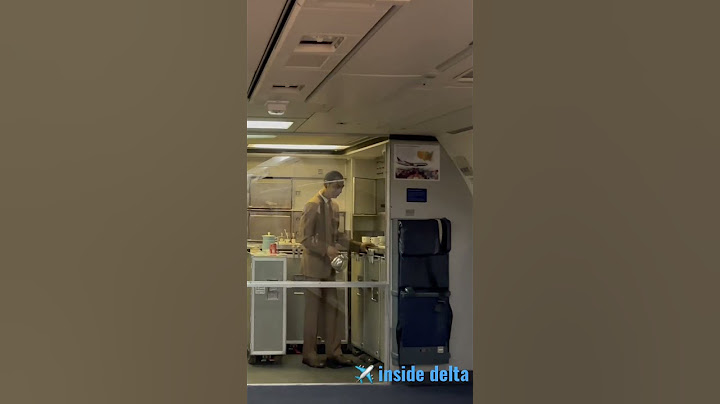 Inside ✈️ | Delta Airlines..